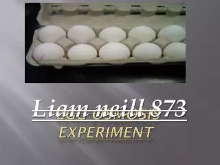 Egg osmosis Experiment