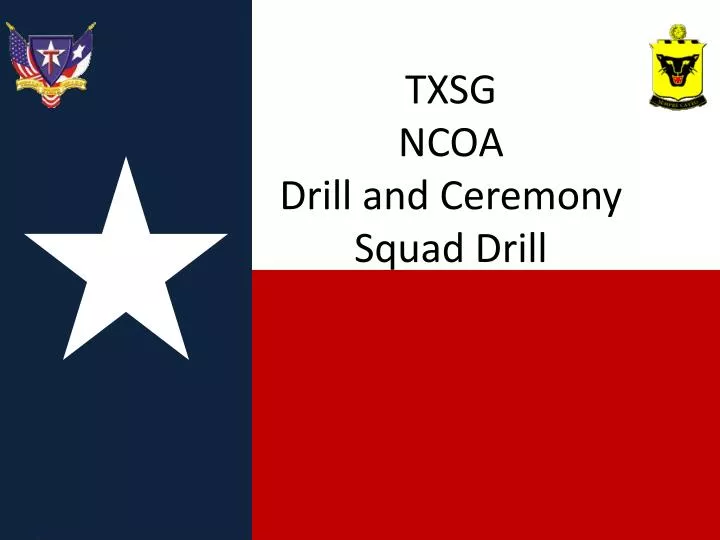 txsg ncoa drill and ceremony squad drill