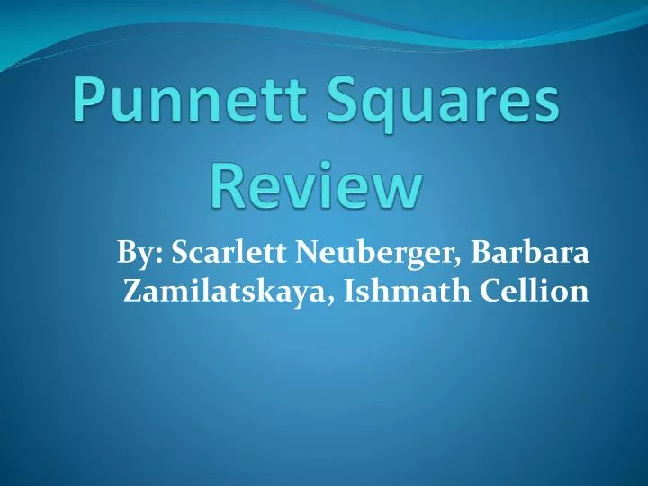punnett squares review