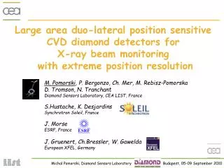 Large area d uo -lateral position sensitive CVD diamond detectors for X-ray beam monitoring