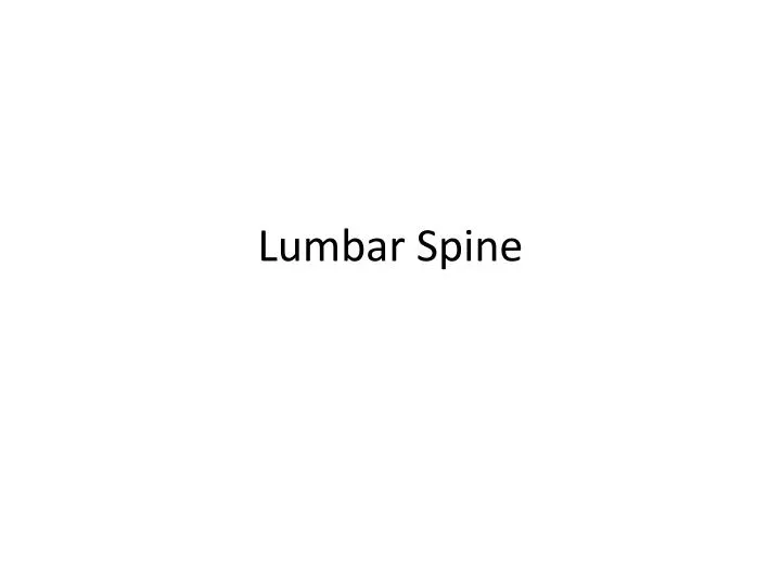 lumbar spine