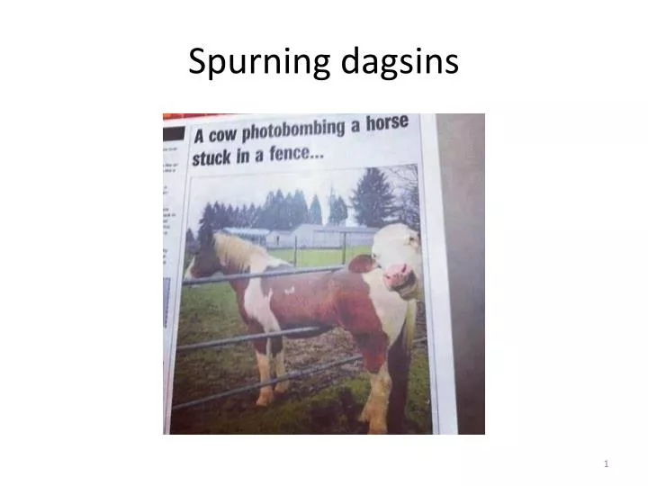 spurning dagsins
