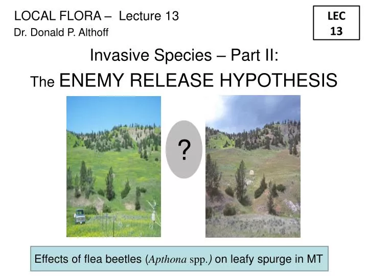 invasive species part ii the enemy release hypothesis