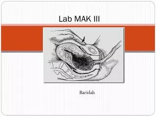 lab mak iii