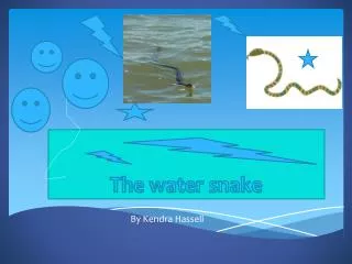 The water snake