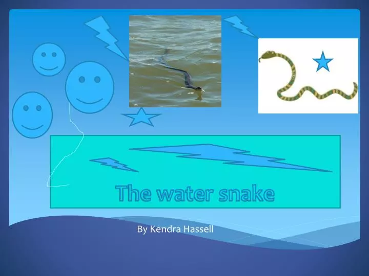 the water snake