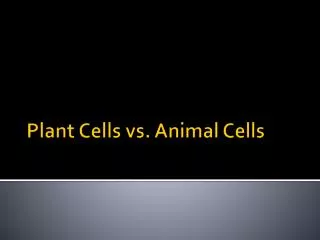 Plant Cells vs. Animal Cells