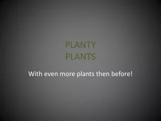 PLANTY PLANTS