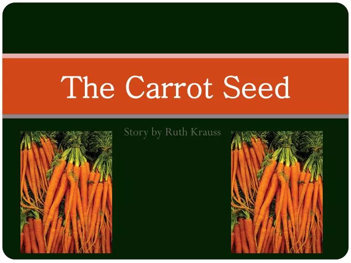 the carrot seed