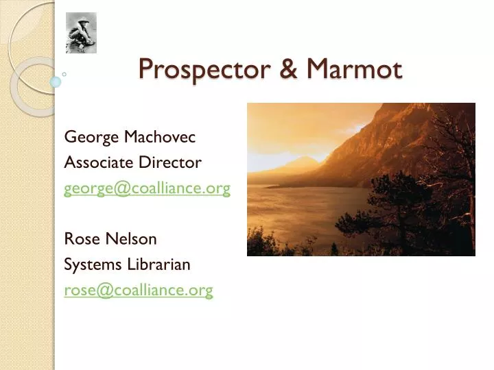 prospector marmot