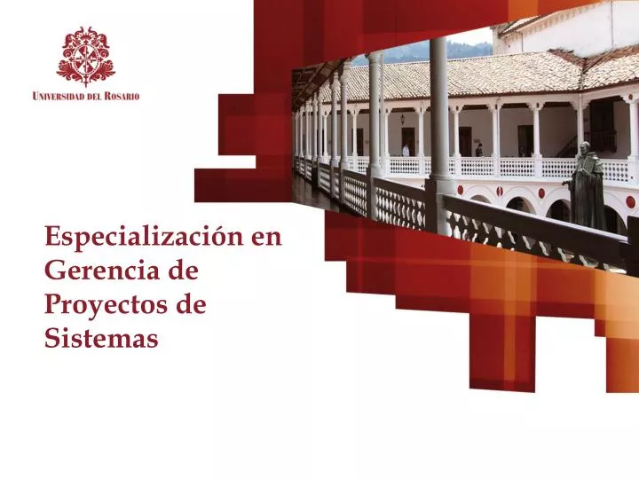 especializaci n en gerencia de proyectos de sistemas