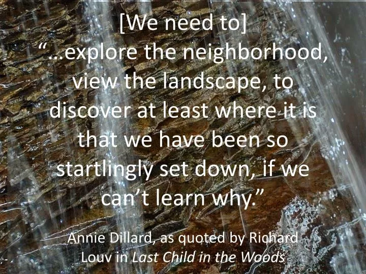 annie dillard as quoted by richard louv in last child in the woods