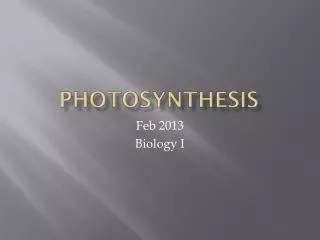 photosynthesis