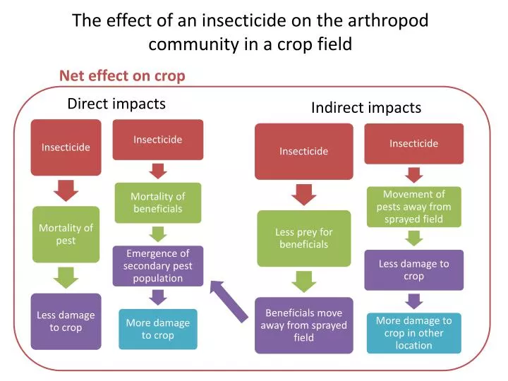 the effect of an insecticide on the arthropod community in a crop field