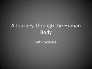 A Journey Through the Human Body