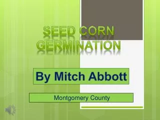 Seed corn germination