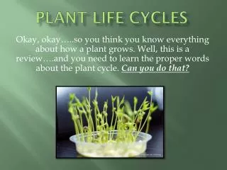 Plant life cycles