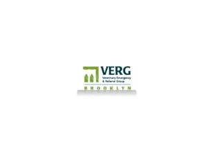 Emergency Veterinarian Services - Verg-brooklyn.com (718.522