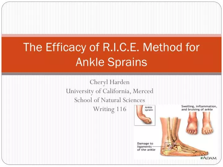 the efficacy of r i c e method for ankle sprains