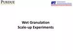 Wet Granulation Scale-up Experiments - slide 1