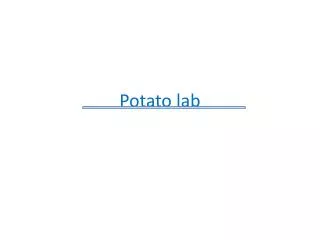 Potato lab