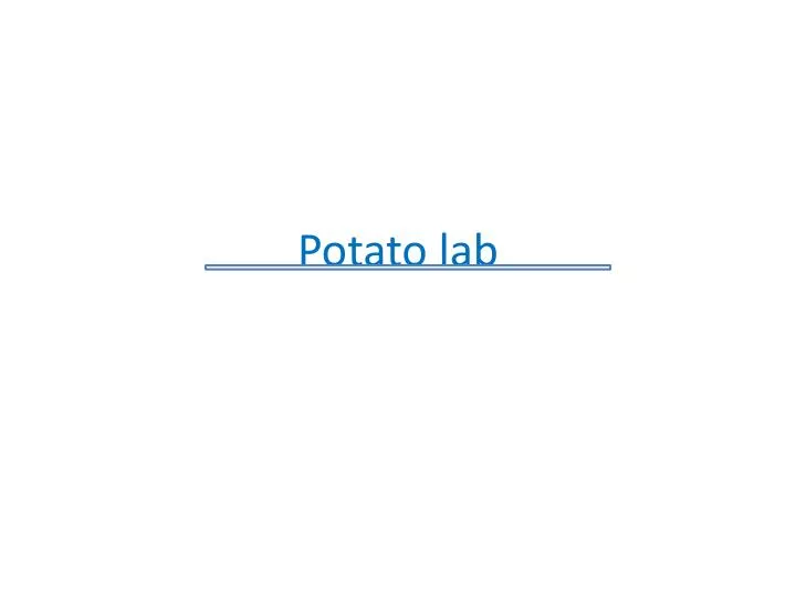 potato lab