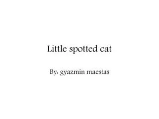 Little spotted cat