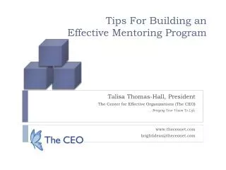 Tips For Building an Effective Mentoring Program