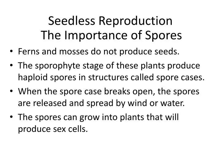 seedless reproduction