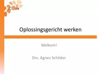 oplossingsgericht werken