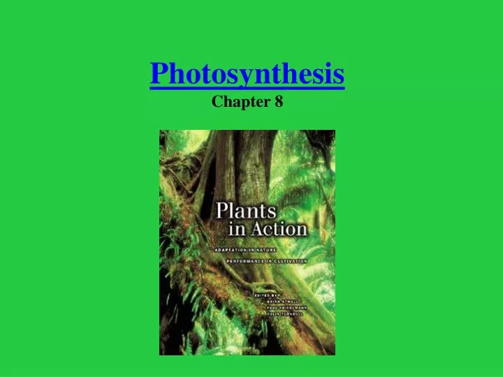 photosynthesis chapter 8