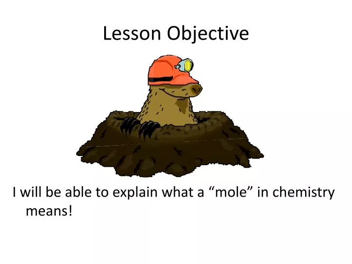 lesson objective