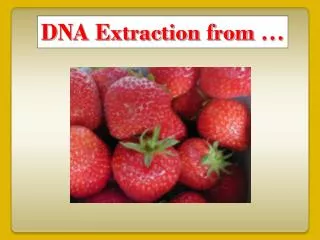 DNA Extraction from …