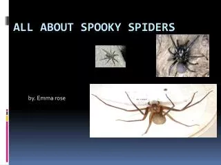All about spooky spiders