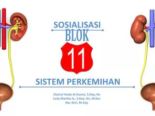 sistem perkemihan