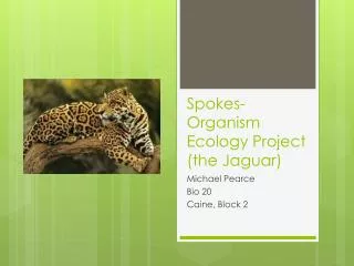 Spokes-Organism Ecology Project (the Jaguar)