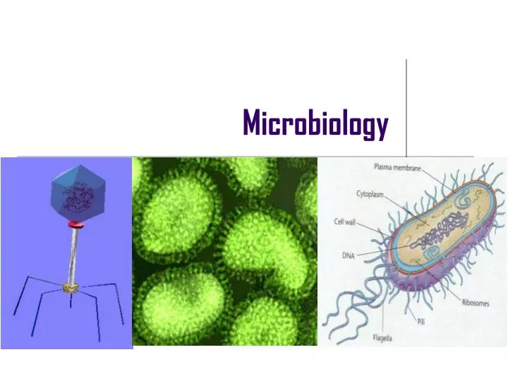 microbiology