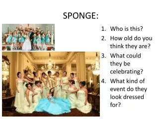 sponge