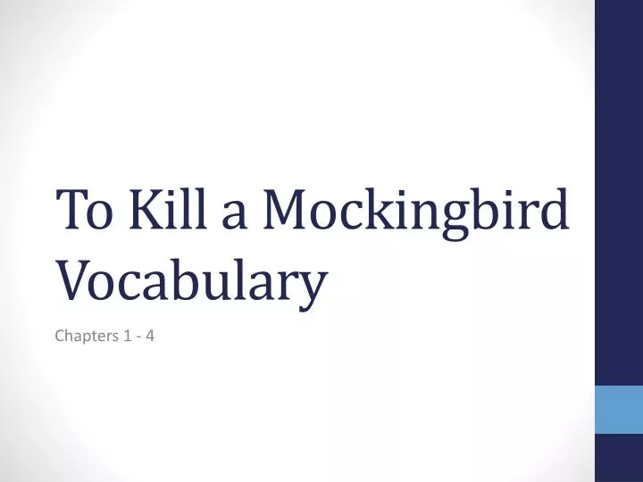to kill a mockingbird vocabulary