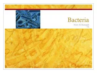 Bacteria