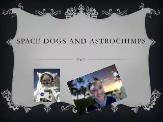 Space Dogs and Astrochimps