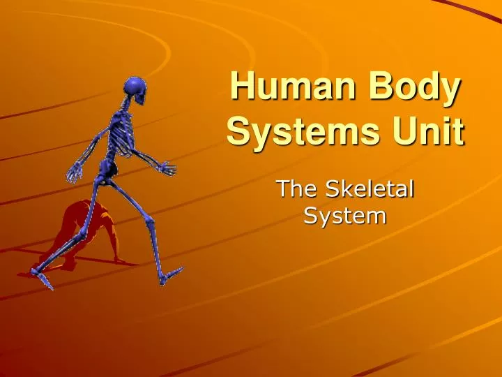 human body systems unit