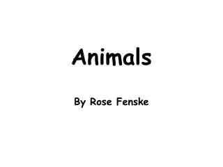 Animals