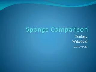 Sponge Comparison