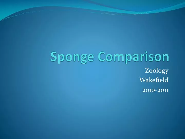 sponge comparison