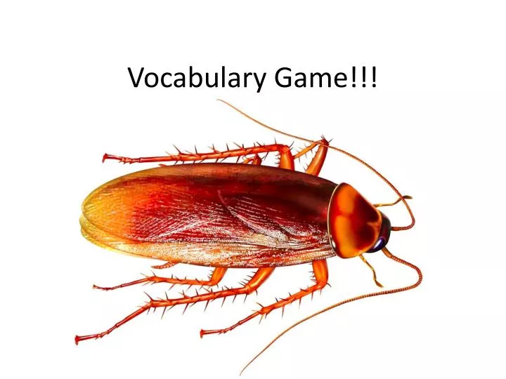 vocabulary game