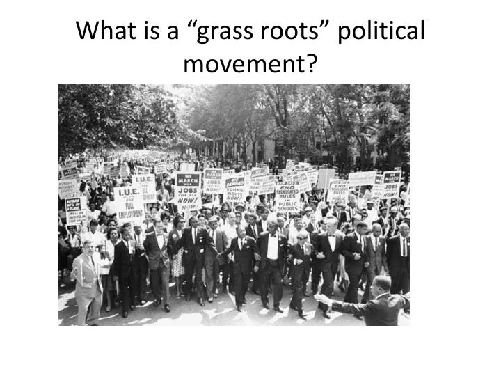 what is a grass roots political movement
