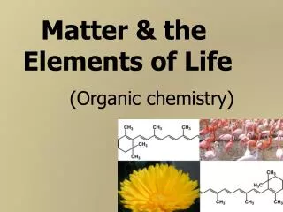 Matter &amp; the Elements of Life