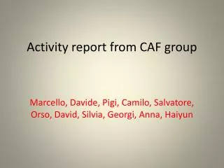 Activity report from CAF group