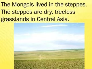 The Mongols lived in the steppes. The steppes are dry, treeless grasslands in Central Asia.